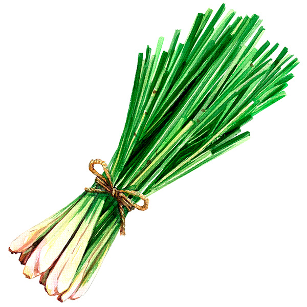 Lemongrass