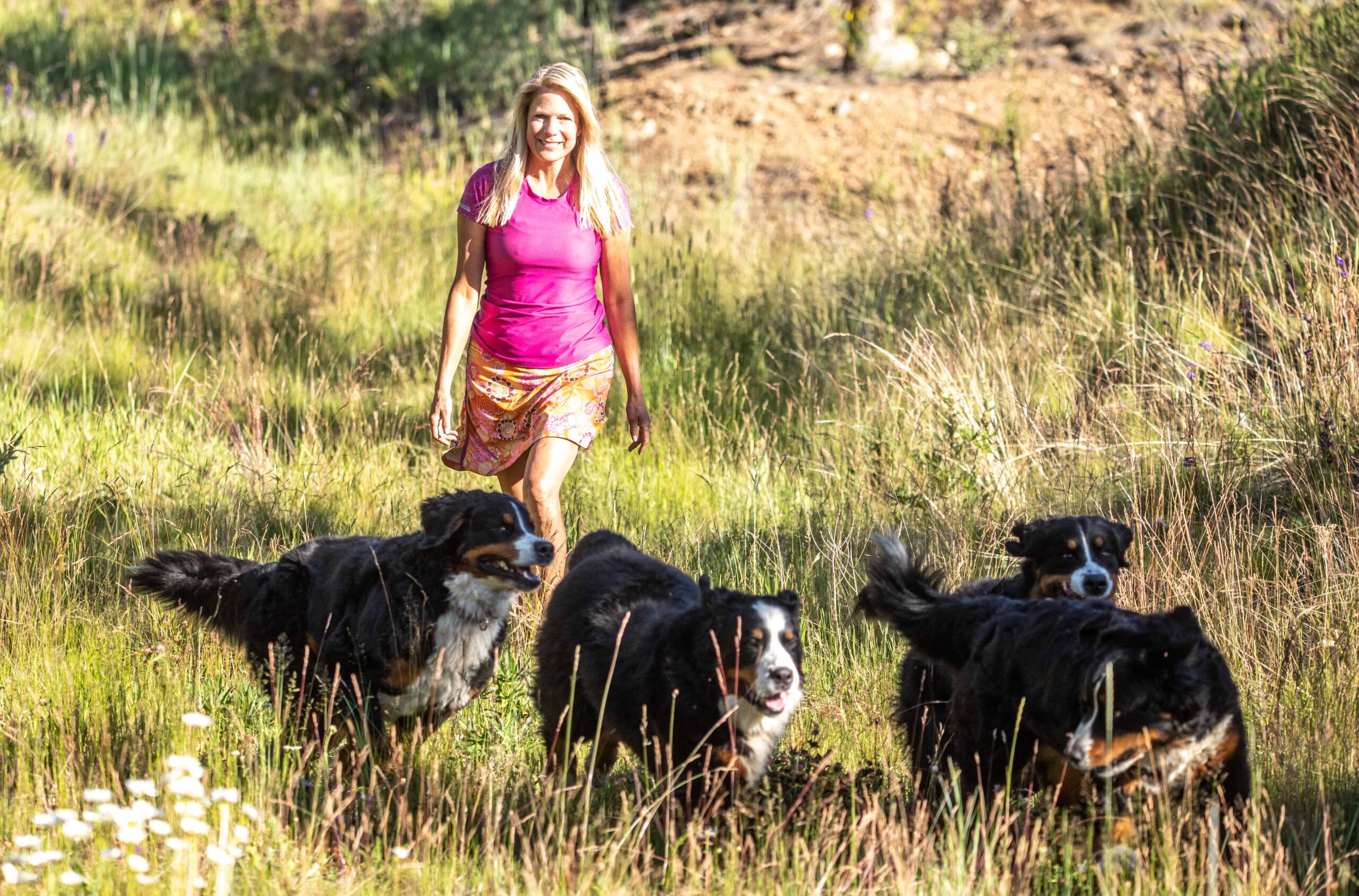 Dog Gathering in field