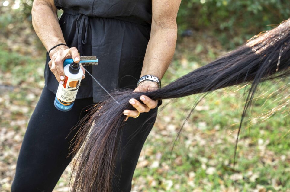 Horsetail Grooming