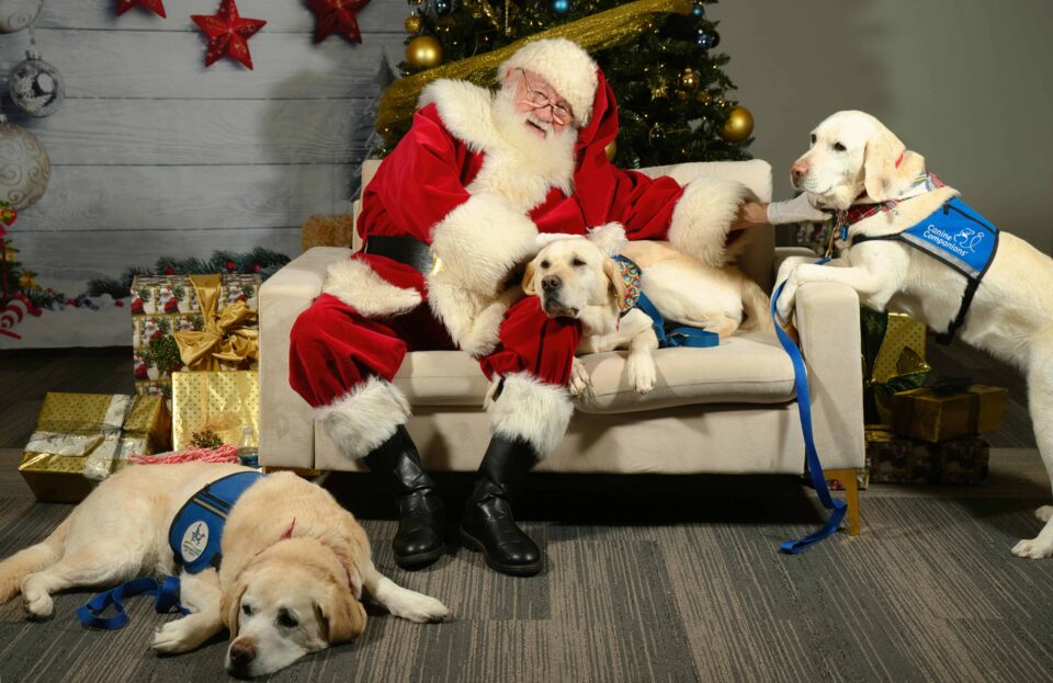 Santa Claus on a Couch and Three Dogs