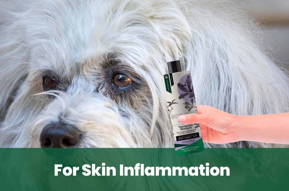 Skin Inflammation Shampoo for Dogs