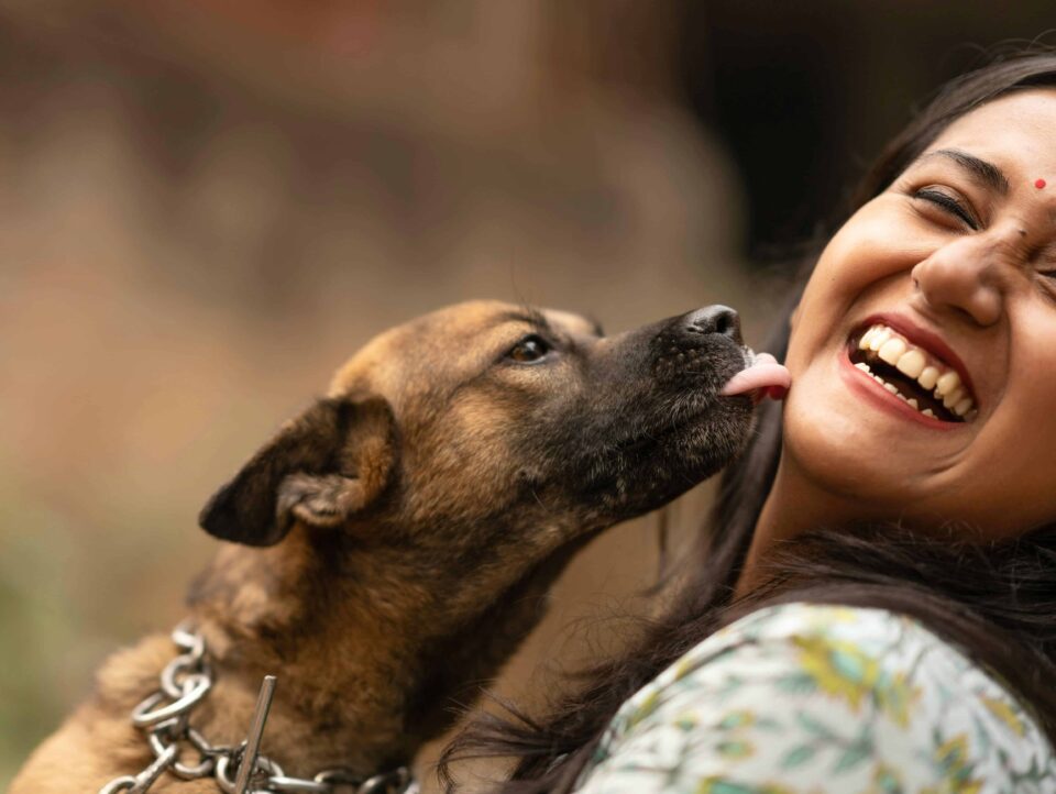 dog licking a laughing woman