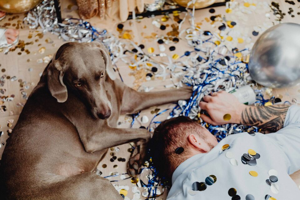 gray short coated dog lying beside a sleeping man