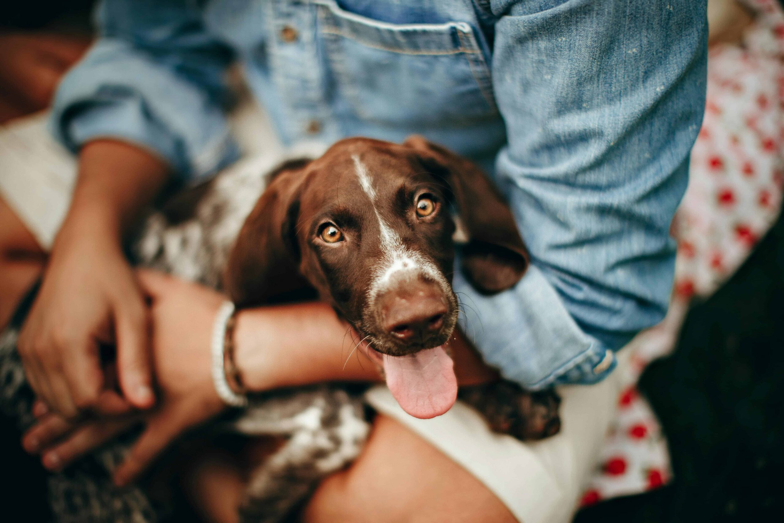 person sitting with dog